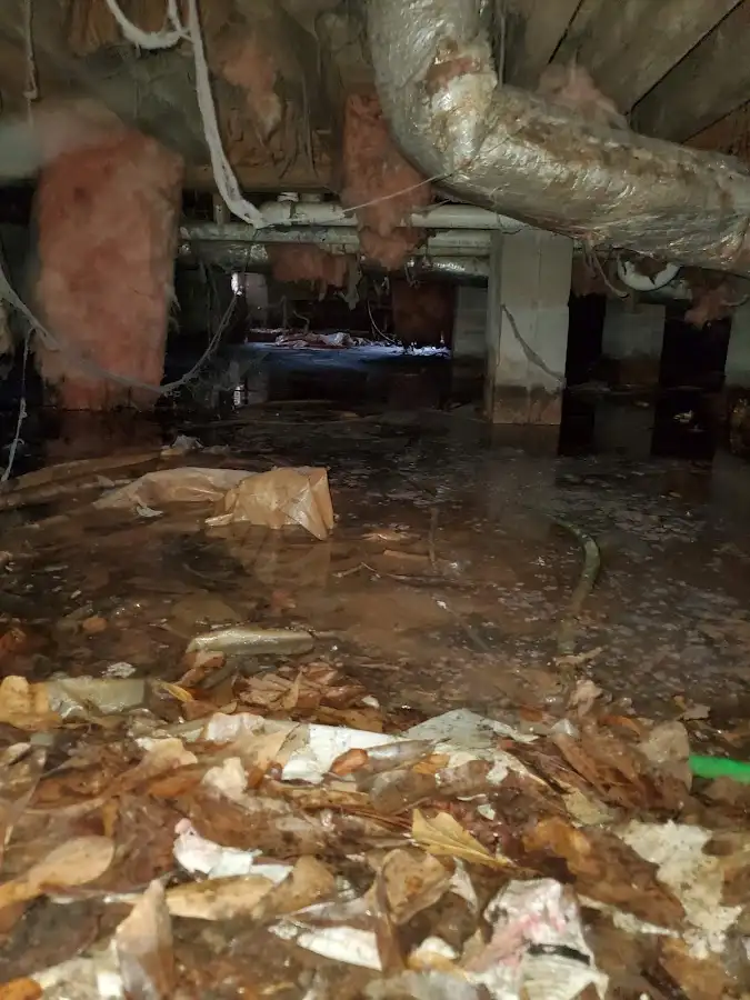 Crawl space flood assessment for Commercial Water Damage Restoration in Silver Spring