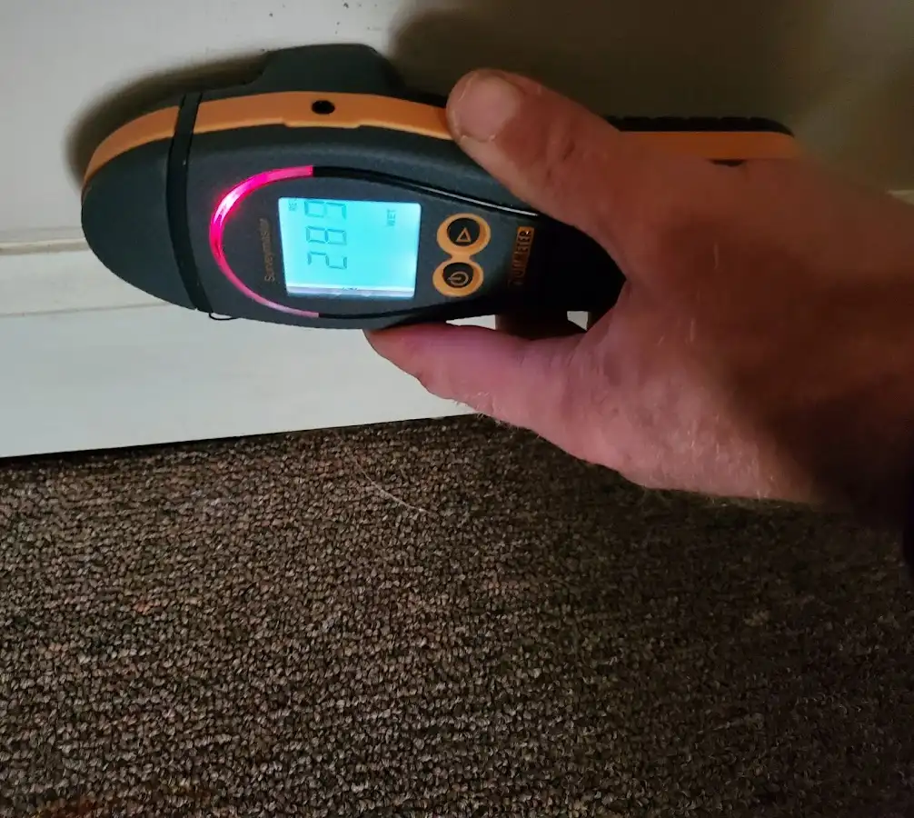 Moisture detection at baseboard during Mold Inspection & Testing in Silver Spring